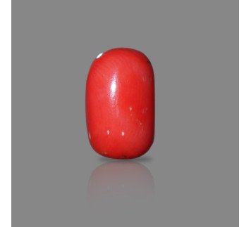 ITALIAN RED CORAL : 16.12 RT / 14.68  CT