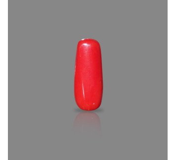 ITALIAN RED CORAL : 8.01 RT / 7.29 CT